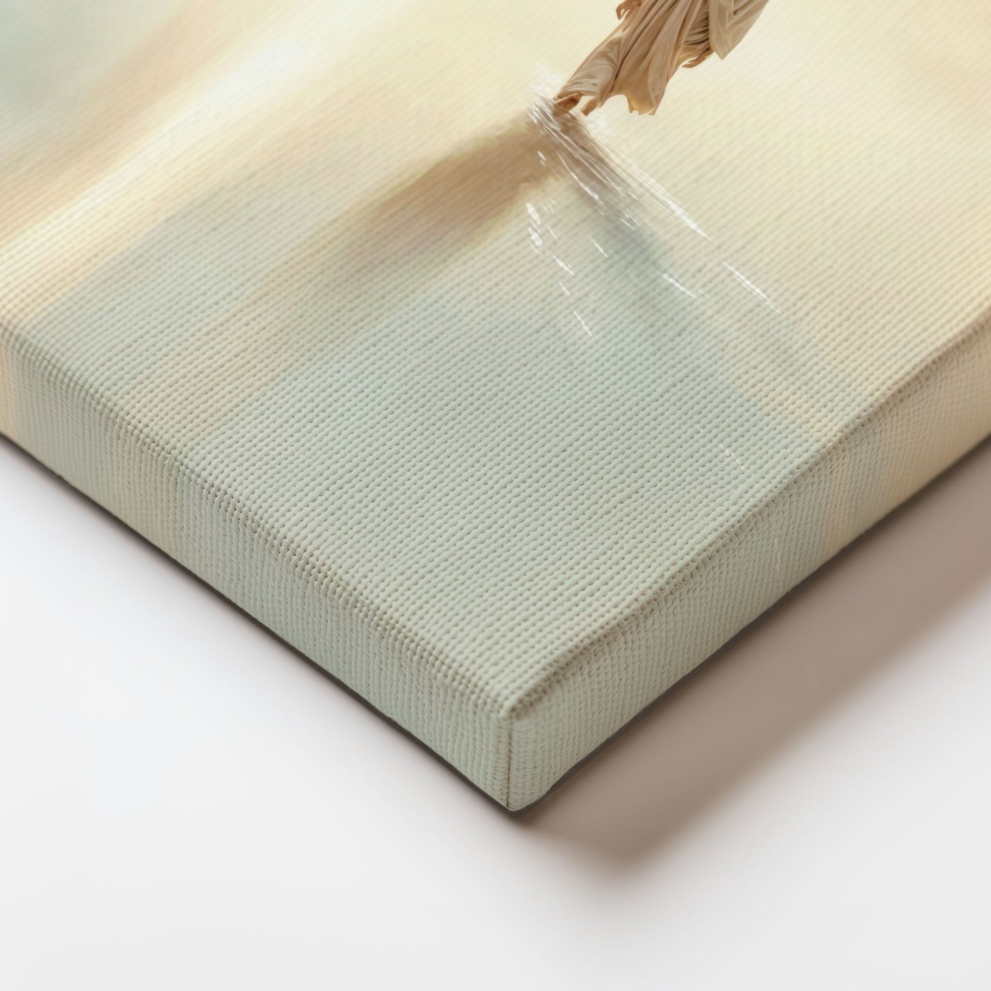 Steps of Faith - Canvas