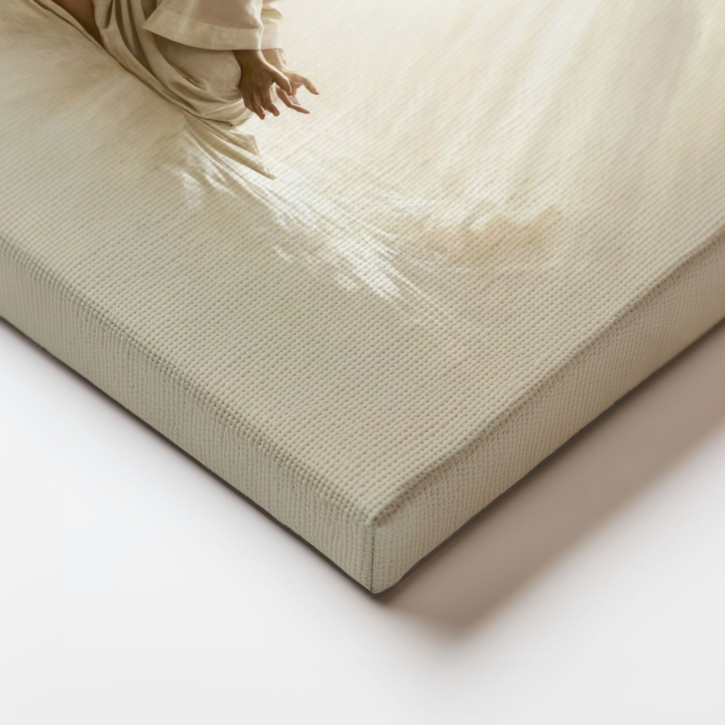 The Garden of Gethsemane - Canvas